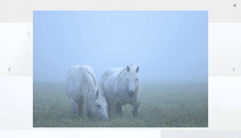 ニュース 北海道の美しき幻の島「ユルリ」に生息する馬たちを、写真家が追った10年の軌跡 