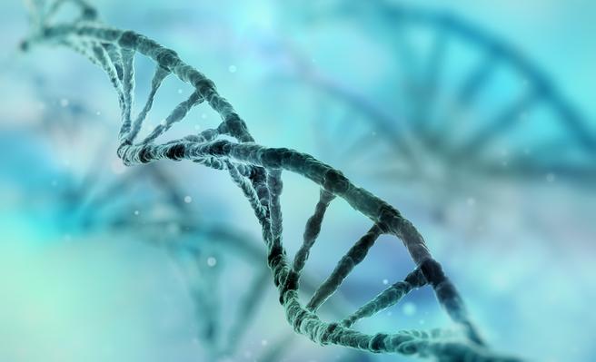 Australie : une nouvelle technologie fait le lien entre l’ADN et l’apparence des individus 