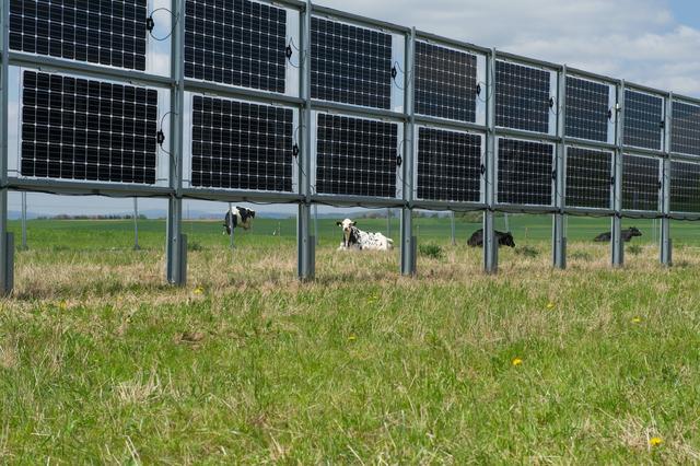 Comment des panneaux solaires verticaux peuvent soutenir les agriculteurs 