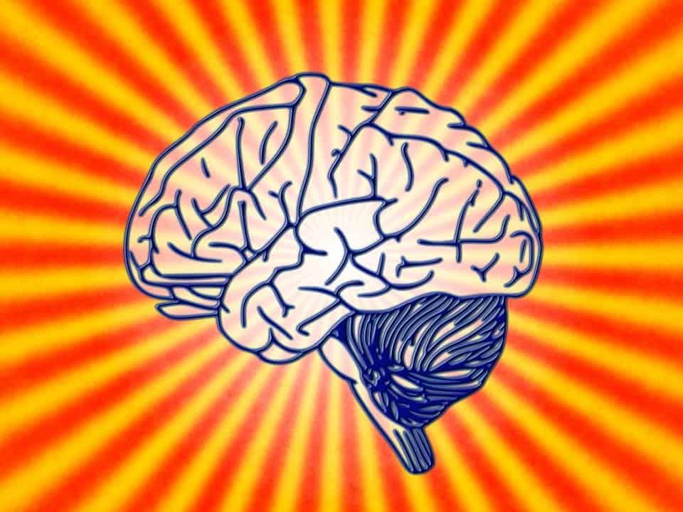 Conseils pour garder un cerveau en santé pour tout les âges Conseils pour garder un cerveau en santé pour les personnes âgées et les gens de tous les âges Un cerveau stimulé pour rester en santé ? 