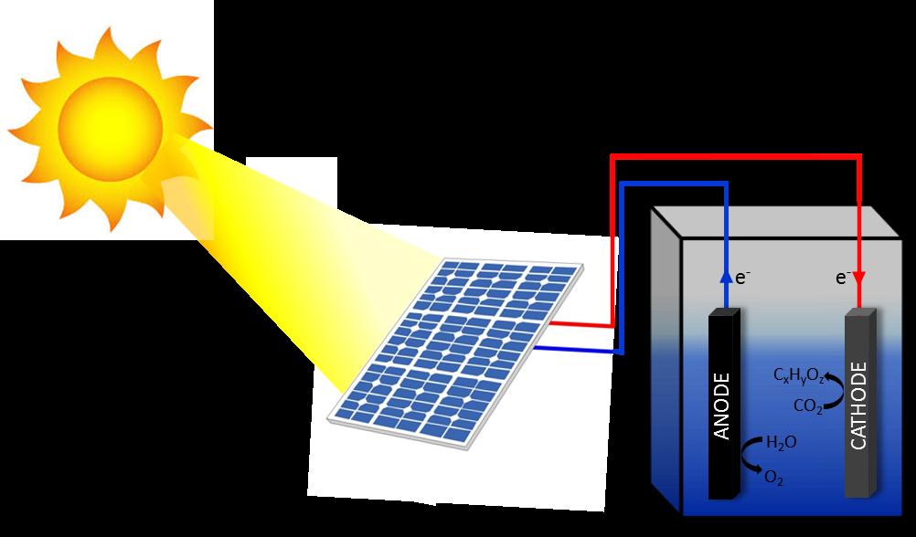 Un nouveau procédé de stockage d’énergie solaire basé sur la photosynthèse 