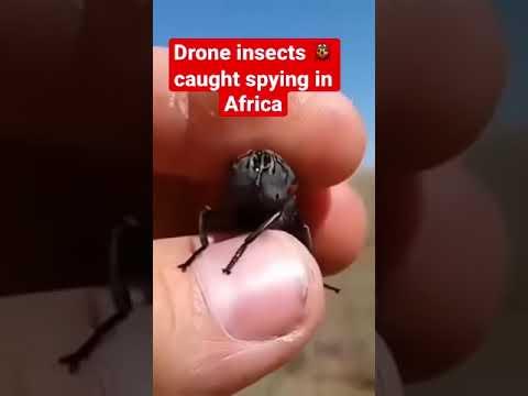 Drone catches pests