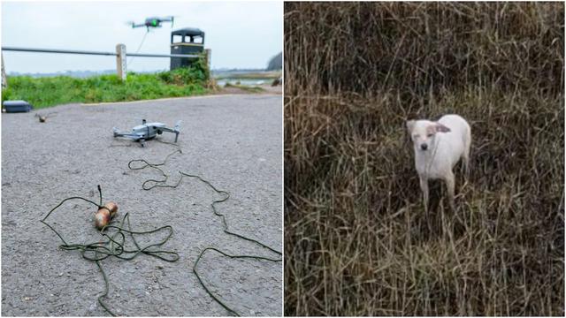 Sausage Drone Saves Pup in UK | Firehouse