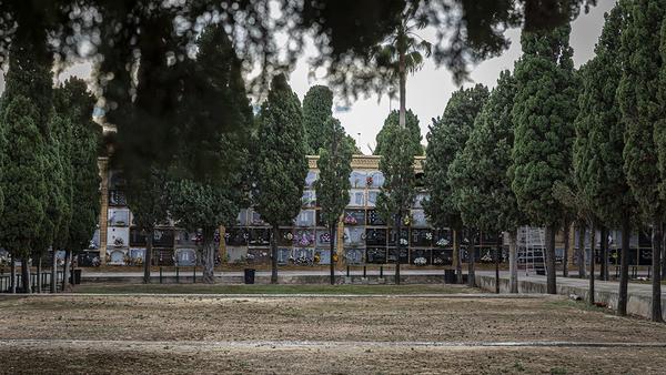 Les exhumacions a la fossa 126 del Cementeri de Paterna localitzen els cossos de 12 persones víctimes de la repressió franquista 