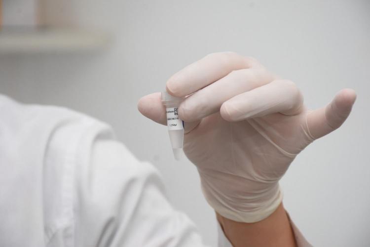 ADN: la provincia cuenta con un laboratorio especializado 