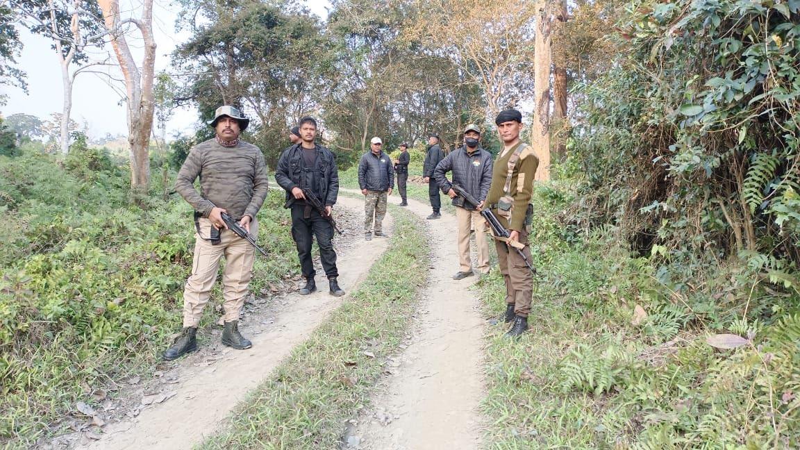 Assam: 20 commandos deployed in Kaziranga to prevent rhino poaching
