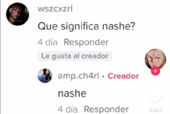 What is the meaning of the word 'Nashe' in Tiktok?