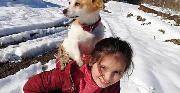 Perro salva a niña de 10 años al darle calor en una tormenta de nieve