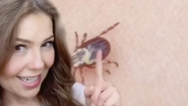 Casi pierdo la vida: Thalía usa TikTok para narrar su lucha contra la enfermedad Lyme ¿Qué es la enfermedad Lyme? Síntomas de Lyme Tratamiento para enfermedad Lyme