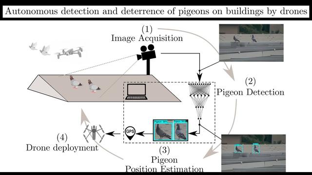 Autonomous drones may be the ultimate scarecrows  for pigeons 
