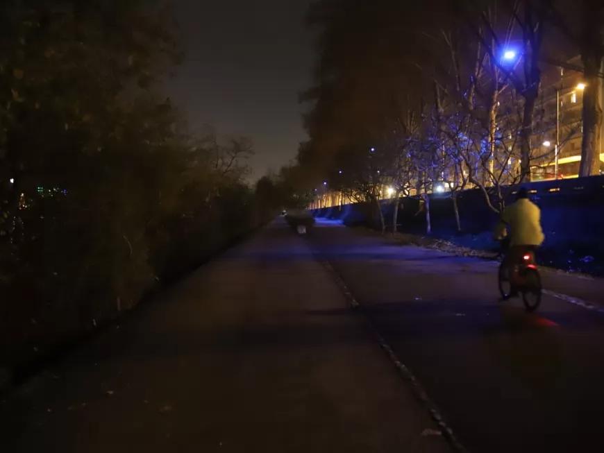 Lyon : l'éclairage public bientôt coupé la nuit pour le bien des animaux et des plantes ?