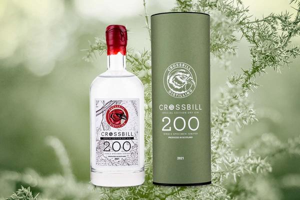 2021: A Year in Scottish Gin - The Gin Cooperative