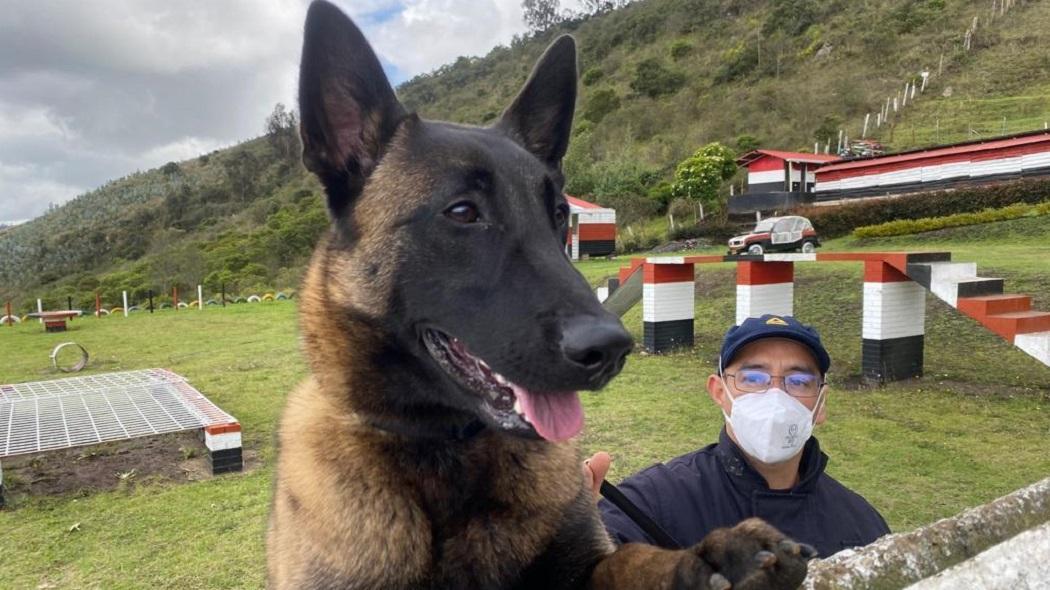 Apareció el perro del Cuerpo de Bomberos de Bogotá que se había perdido en Guadalupe