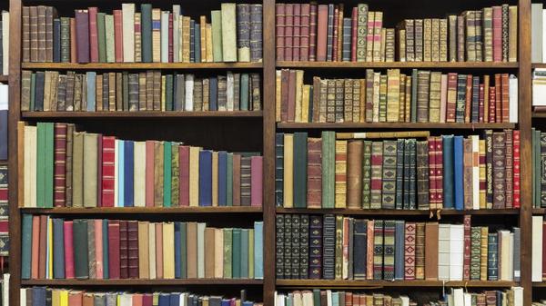 'Mis libros y yo': por una biblioteca minimalista