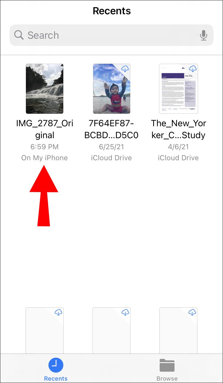 How To View the Metadata of a Photo on a PC or Mobile Device