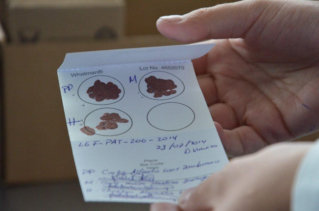 Las pruebas gratuitas de paternidad se hacen solo en dos laboratorios de Quito 