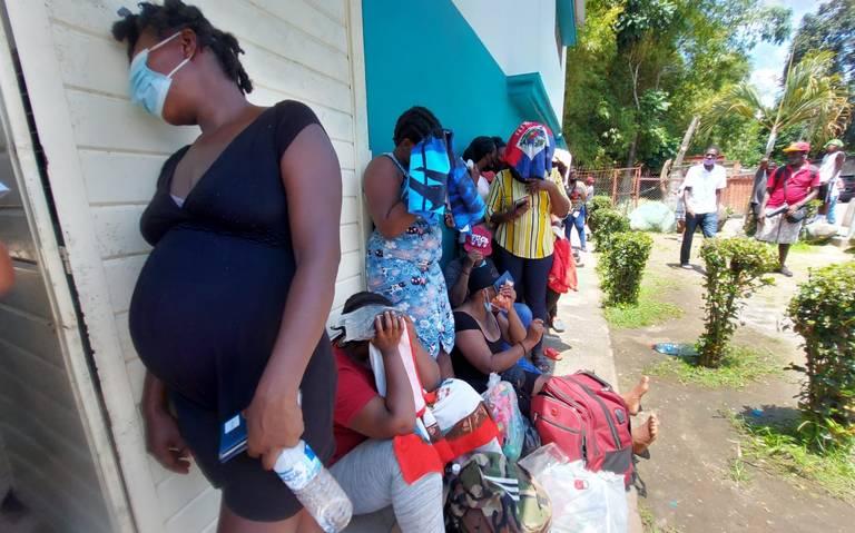 Migrantes haitianos adoptan a Chihuahua como su nuevo hogar 