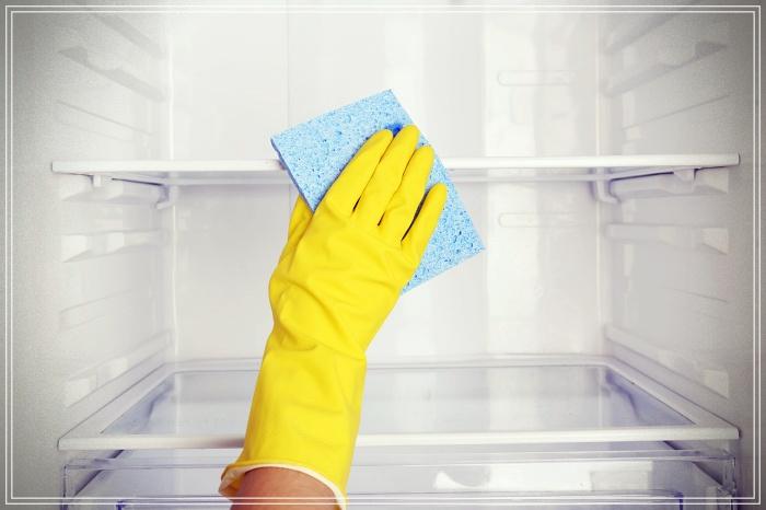 The cheapest trick to disinfect and clean the fridge