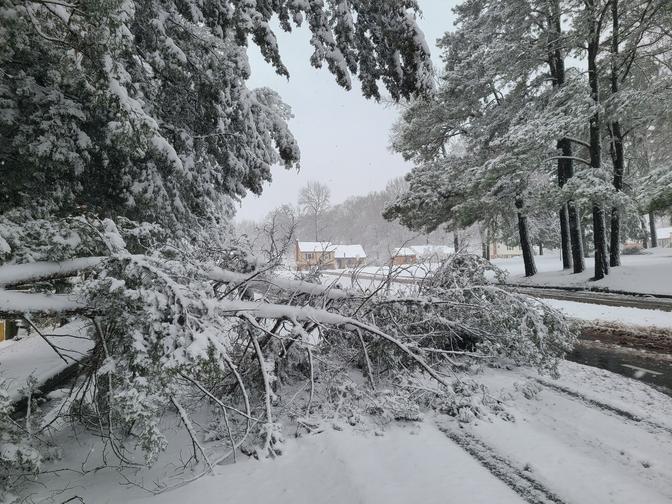 PHOTOS & DRONE VIDEO: Central Virginia’s first snow of 2022 Subscribe Now
StormTracker8 Severe Weather Alerts