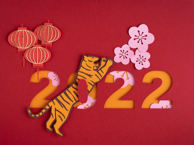 Chinese New Year: Wisdom of the Tiger by Water 