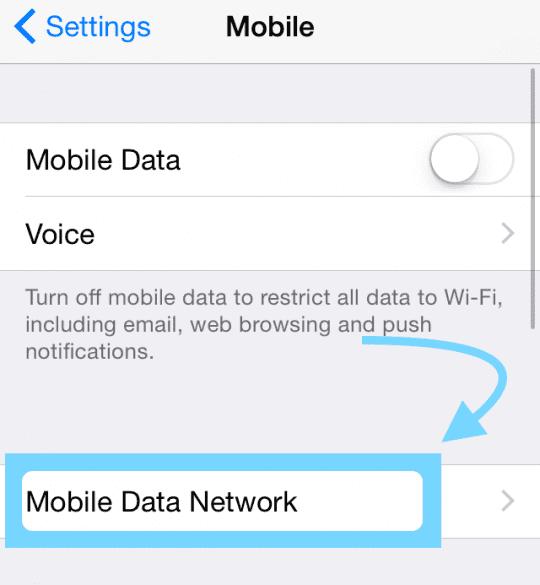 Could Not Activate Cellular Data Network [Fixes]