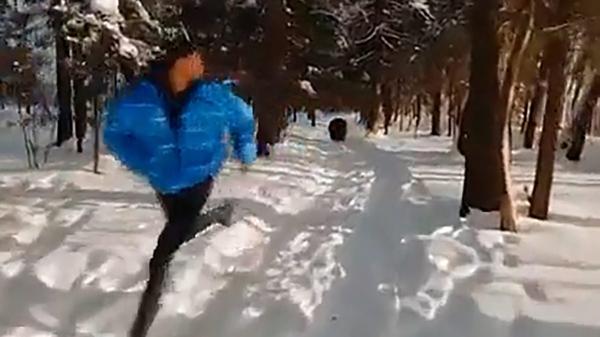 Is Drone Video of a Bear Chasing a Man in Snow Real?