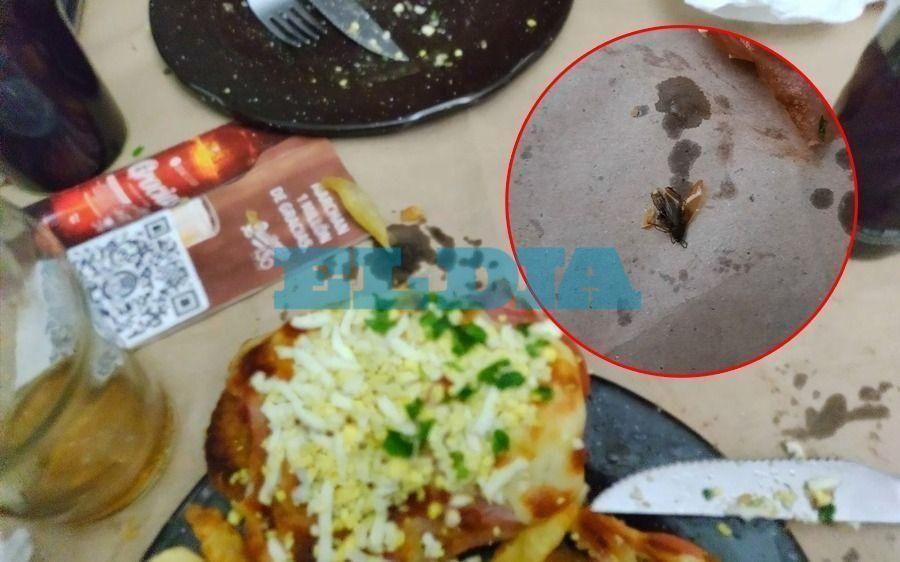  He finds a cockroach in a bowl of oatmeal he ordered from a restaurant;  PHOTO goes viral