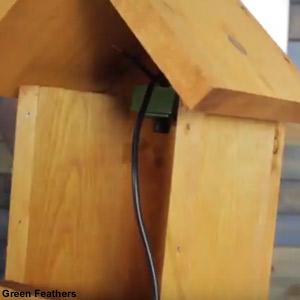 Conseils pour installer une caméra dans un nichoir | Ornithomedia.com 