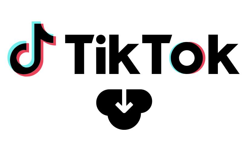 4K TokKit, un Logiciel Gratuit pour Enregistrer N’importe Quelle Vidéo TikTok (en 2min) 