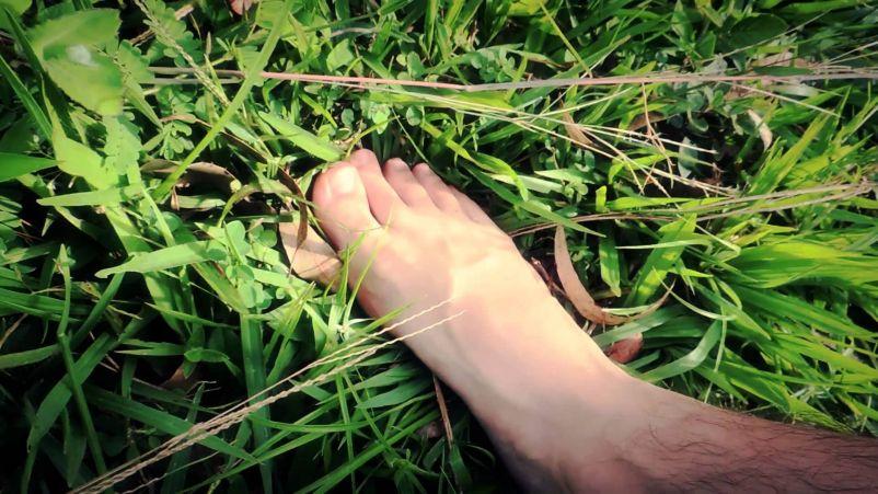 What is Grounding and how does it influence your health - Ecortal.net