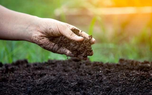 Une appli pour tous les jardiniers pour les aider à réussir les cultures des végétaux 