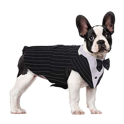 Top 30 Capable Dog Outfits – Best Review on Dog Outfits