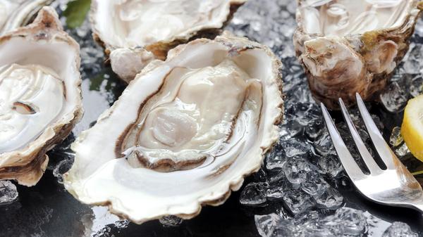 9 façons de vérifier si vos huîtres sont fraîches | Mordu