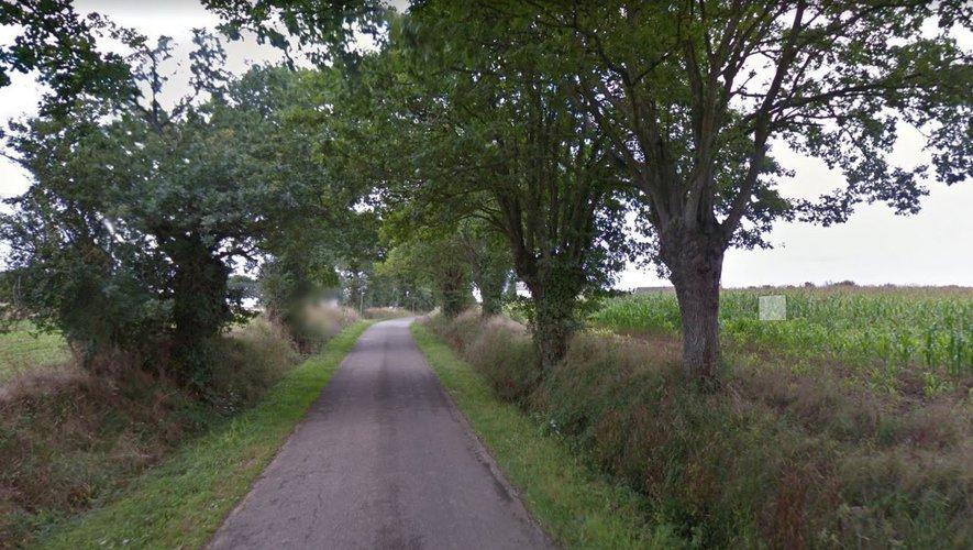 17 -year -old jogger found in Mayenne - two kidnappers, green van, traces of blood: these tracks studied by investigators