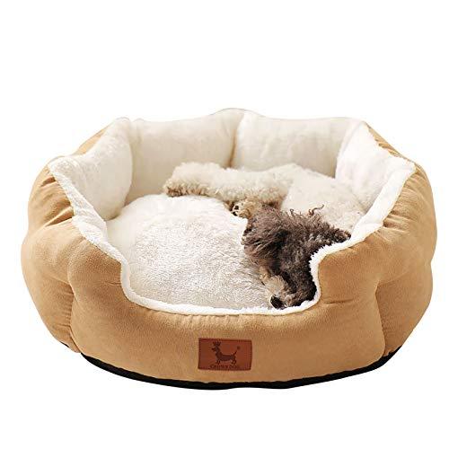 49 Best wooden dog bed in 2022: according to experts
