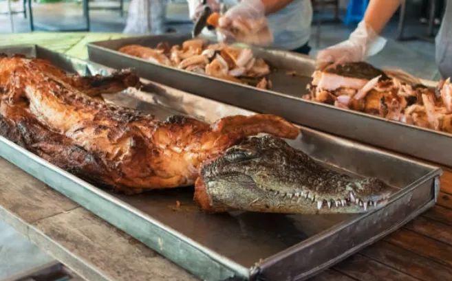 El precio del cerdo dispara la demanda de carne de cocodrilo en Tailandia