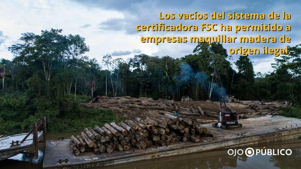 Las grietas de la certificadora de madera más grande del mundo impactan en el Amazonas Las grietas de la certificadora de madera más grande del mundo impactan en el Amazonas 