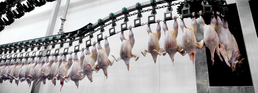 ¿Cuáles son los contaminantes físicos que pueden comprometer la carne de pollo? 