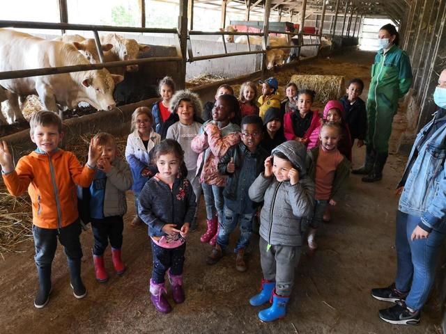 Des écoliers à la découverte de la ferme de Vallemont à Vaubadon 