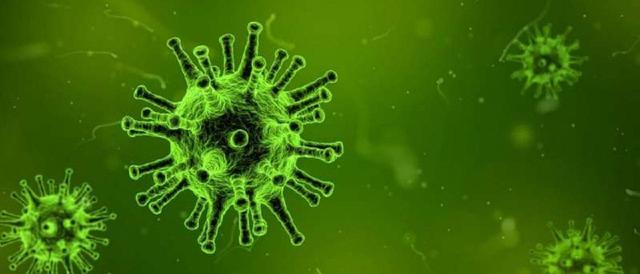 Coronavirus: mirá todas las desinformaciones acá - Chequeado 