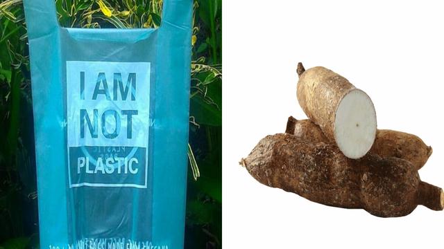 Cassava based: new plastic bags that dissolve in water
