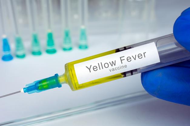 Fièvre jaune : qu'est-ce que cette maladie ? comment la prévenir ? 