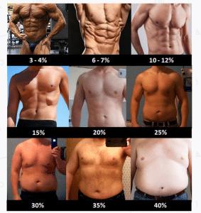 What fat percentage should you have for rock abs?
