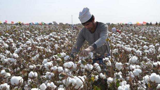Boicot textil de China por criticar la represión en Xinjiang