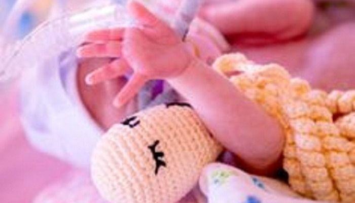 Pulpitos que abrazan la vida de bebés prematuros Pulpitos que abrazan la vida de bebés prematuros 