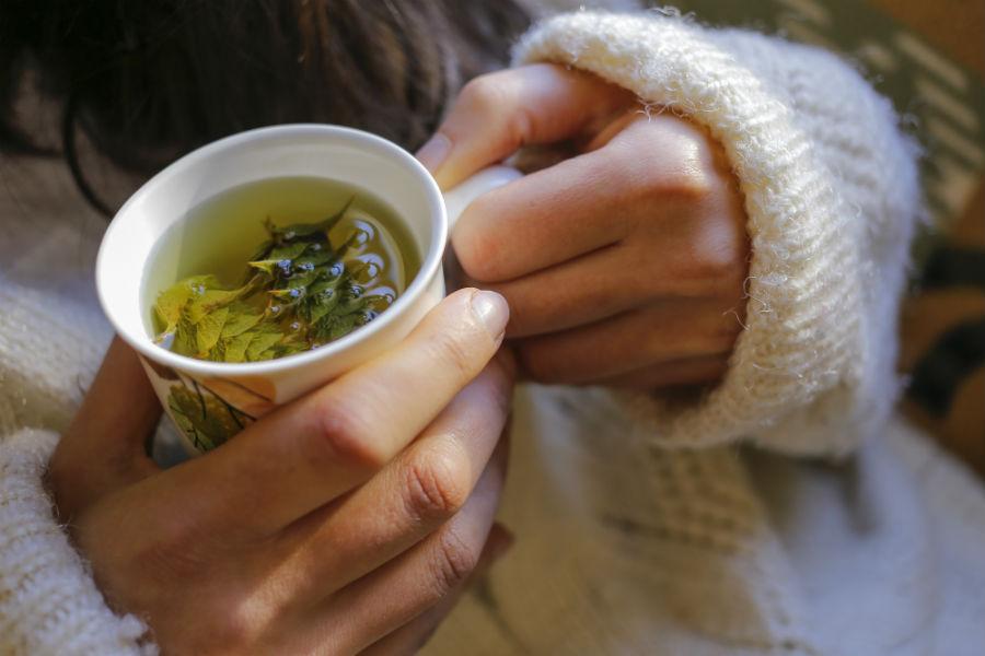 La rentabilidad de una taza de té verde
