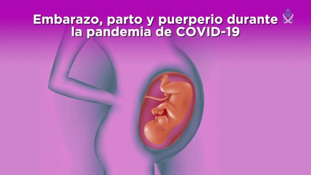 Consejos para el embarazo durante la pandemia de COVID-19