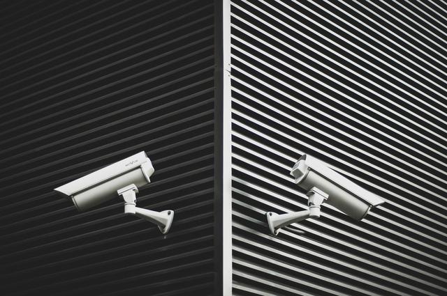 Uso policial de la inteligencia artificial: el PE, contra la vigilancia masiva