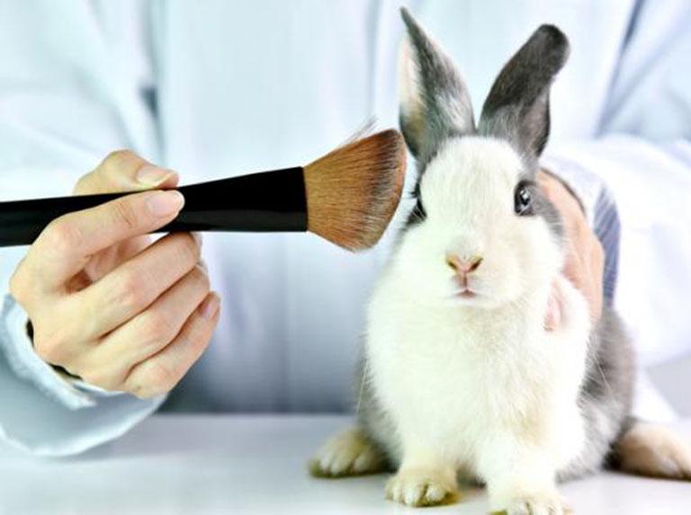 Navigation Senado mexicano aprueba ley para prohibir pruebas cosméticas en animales Iniciar sesión Registrarse Confirme restablecimiento de su contraseña