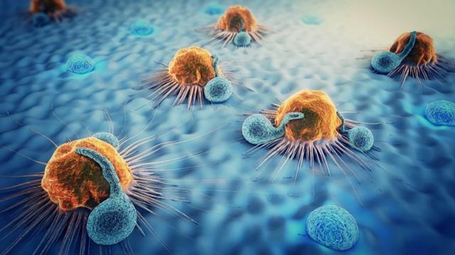 El riesgo del cáncer 'dormido': cómo surge la metástasis a través de células latentes durante años 